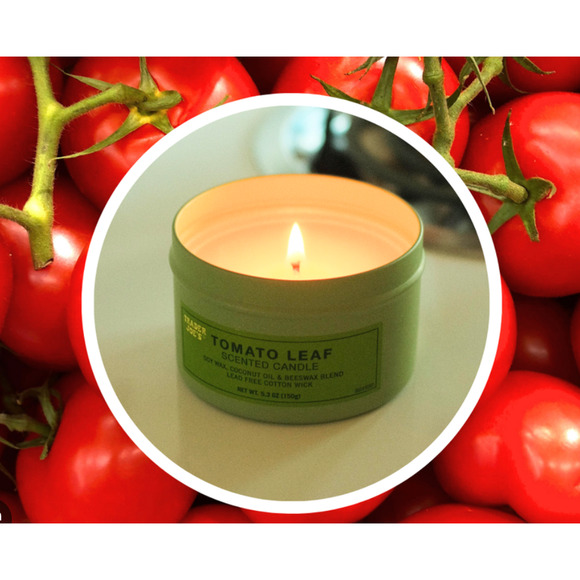 10-PACK TOMATO LEAF SCENTED CANDLE FROM TRADER JOES / NEW IN BOX - Picture 4 of 4